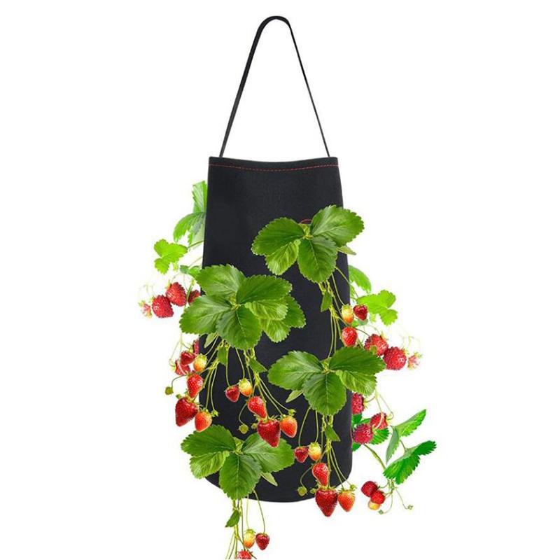 Hanging Strawberry Planting Bag